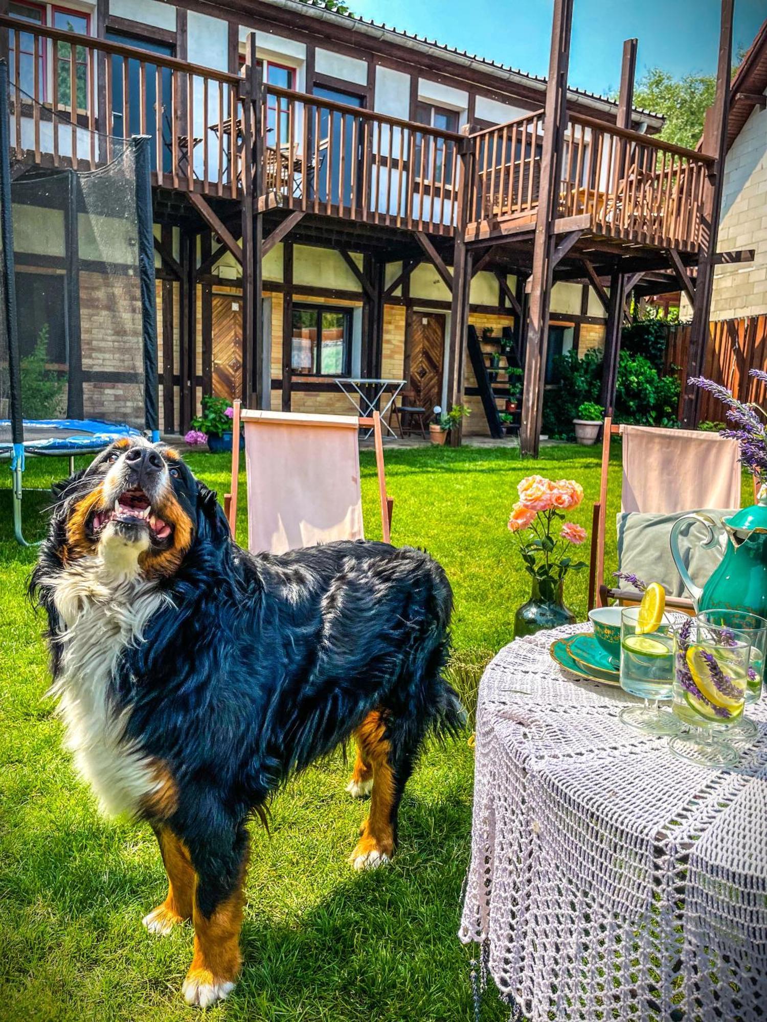 Wrzosowy Mlyn - Twoje Miejsce Nad Jeziorem Międzyrzecz Exterior foto