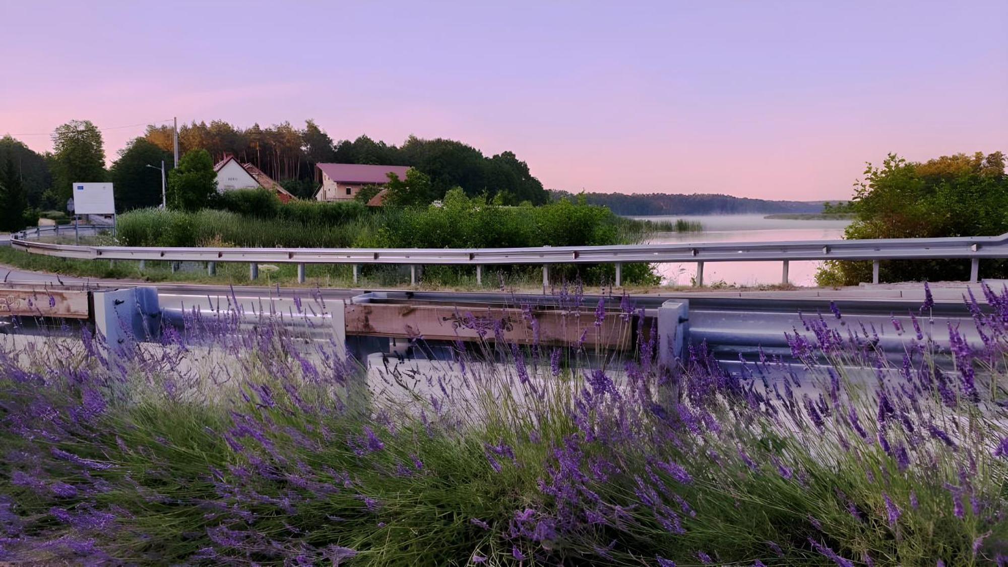 Wrzosowy Mlyn - Twoje Miejsce Nad Jeziorem Międzyrzecz Exterior foto